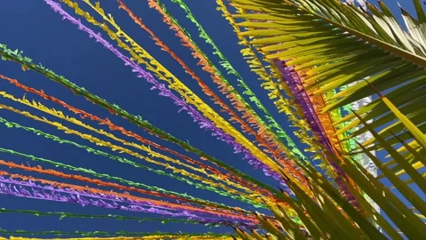 Multicoloured ribbons decorating street in front of blue sky and palm leaves. 4K Stock Footage 272166705
