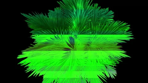 Multicoloured stripes alternate on a palm tree shot for a music video. Stock Footage 244625317