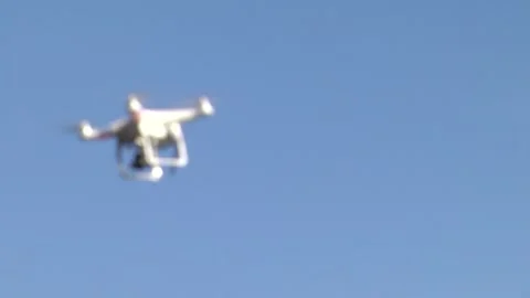 Multicopter flies around the trees and flies forward. Stock Footage 104511969
