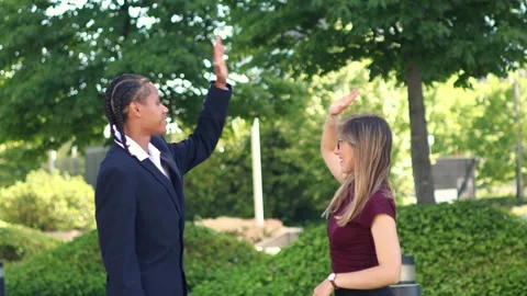 Multicultural Business partners giving high five celebrating success Stock Footage 317014385