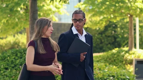 Multicultural Business partners walking and talking in the financial district Stock Footage 317014363