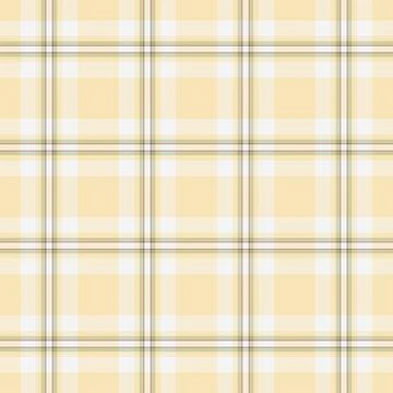 Multicultural fabric seamless vector, household background texture check. T.. イラスト素材