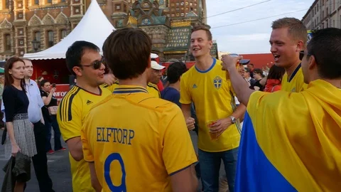 Multicultural fans from all the world different ethnicity taking selfie photo Stock Footage 91633996