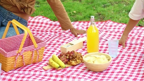 Multicultural Friends arranging picnic blanket and food in a park Stock Footage 314337941