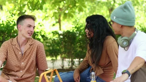 Multicultural Friends enjoying picnic, engaging in lively conversation in par Stock Footage 314337919