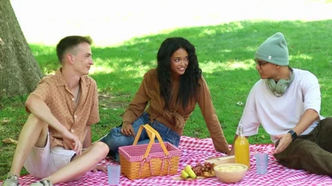 Multicultural Friends enjoying picnic in a park Stock Footage 314337916