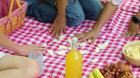 Multicultural Friends playing dominoes during picnic in a park Stock Footage 314337769
