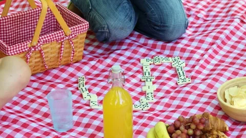 Multicultural Friends playing dominoes during picnic in a park Stock Footage 314337780