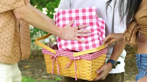 Multicultural Friends preparing picnic basket and blanket in a park Stock Footage 314337855