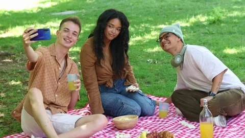 Multicultural Friends taking selfies at a picnic in the park Stock Footage 314337824