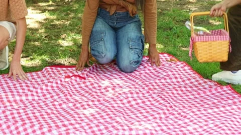 Multicultural Friends unfolding a checkered picnic blanket in the park Stock Footage 314337854