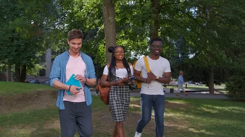 Multicultural Group of College Students Stock Footage 111956953