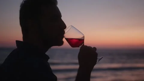 Multiethnic boyfriend and girlfriend drinking wine against beach sunset sky Stock Footage 270249587