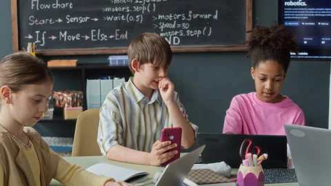Multiethnic Children Learning Coding with Laptops in Classroom Stock Footage 339193072