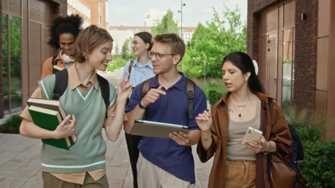 Multiethnic College Students Walking and Discussing Project on Campus Stock Footage 342110042