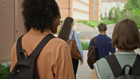 Multiethnic College Students Walking on Campus and Talking Stock Footage 342118121