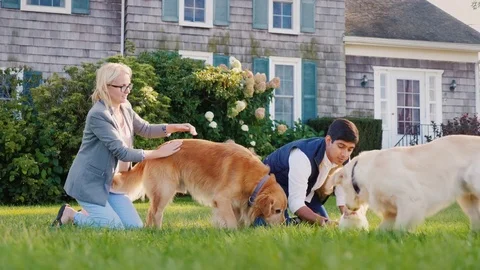 Multiethnic couple playing with dogs in their backyard Stock Footage 82184161