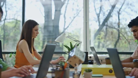Multiethnic developers coding laptop in office. Startup team working together Stock Footage 251831498