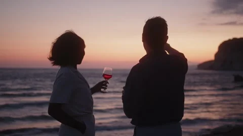 Multiethnic friends drinking wine looking at sunset on summer vacation Video stock 270248315