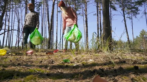 Multiethnic group of friends pick up garbage from the ground in the forest. Stock Footage 116553030