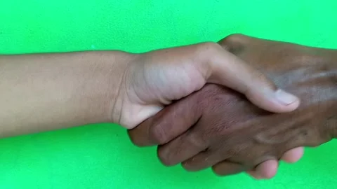 Multiethnic Handshake Between Different Skin Tones on Green Screen Stock-Footage 335019655