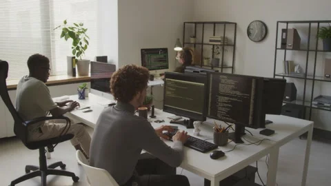 Multiethnic Programmers Team Working in Office Stock Footage 255782079