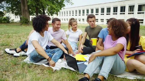 Multiethnic students relaxing on ground on campus Stock Footage 159642259