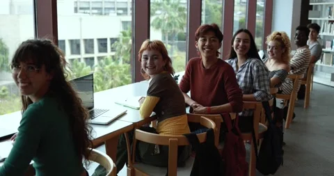 Multiethnic young students learing together inside school library Stock Footage 203722230