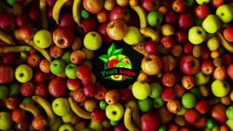 Multifruit logo reveal  After Effects	Stock