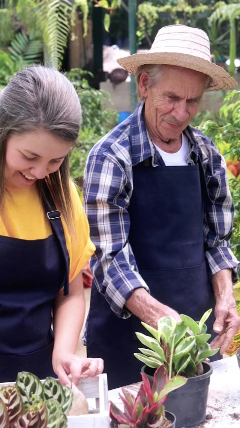 Multigenerational Hispanic people working at garden greenhouse shop - Vertical Stock Footage 329338192
