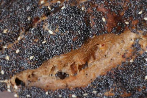 Multigrain Bread on White Background Stock Photos