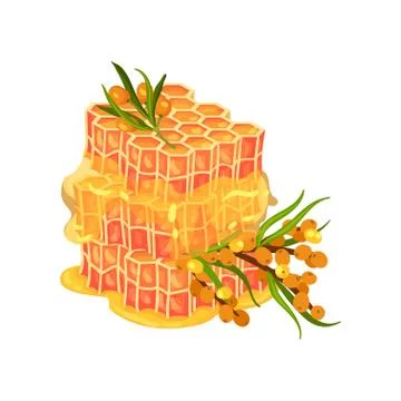 Multilayer honeycomb. Honey flows around the edges. Vector illustration on white Stock Illustration