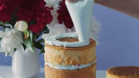 Multilayered biscuit cake Stock Footage 105448077