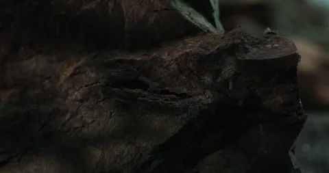 Multilayered Dark Rock Surface with Rich Textures. Stock Footage 278065695