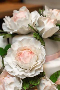 Multilevel wedding cake on the table decorated with roses Stock Photos