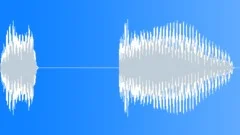 MultimediaInquiry S011TE.425 Sound Effect
