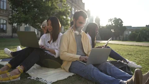 Multinational classmates studying on campus lawn Stock-Footage 163280708