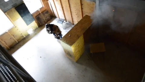 Multinational forces conduct raid and capture enemy during QCB training - 2018 Stock Footage 107991401