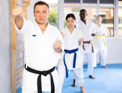Multinational students repeat position and perform sequence of punches and Stock Photos