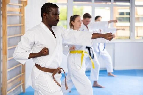 Multinational students repeat position and perform sequence of punches and Stock Photos