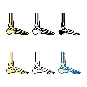 Multipack ankle bone color icon vector Stock Illustration