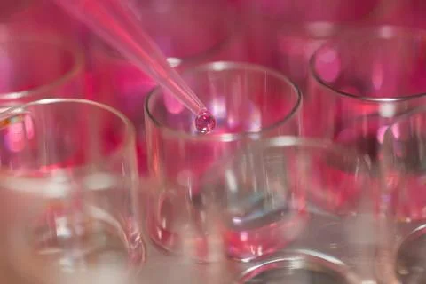 Multipette and multiwell tray, experiment in the microbiology laboratory Stock Photos