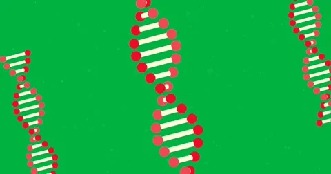 Multiple 3D DNA structure spinning against black background Stock Footage 325070116