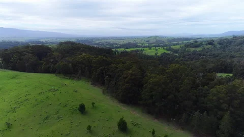 Multiple aerial drone shots of hilly countryside, Taralgon, Victoria, Australia Stock-Footage 277932177