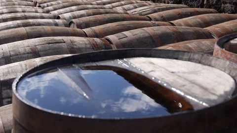 Multiple Aging Whiskey Barrels in Rows 스톡 동영상 97615735