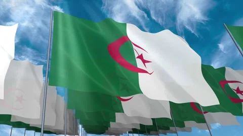 Multiple Algeria flags seamless looping waving on blue sky Stock Footage 343675835