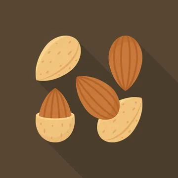 Multiple Almond Nuts and Shells Flat Vector Illustration Stock Illustration