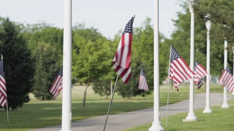 Multiple American Flags in Grassy Park Along Walkway Vídeos de archivo 277644837
