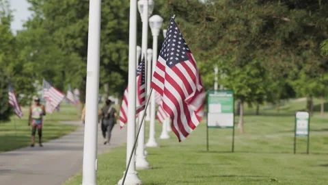 Multiple American Flags in Grassy Park Along Walkway Video stock 277644867