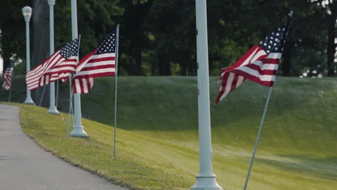 Multiple American Flags in Grassy Park Along Walkway Video stock 277645582